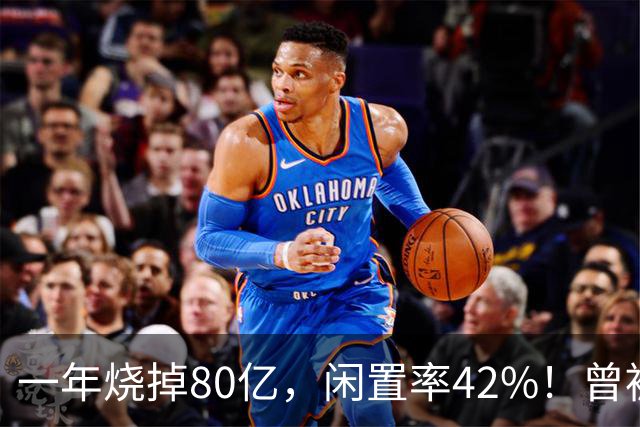 一年烧掉80亿，闲置率42%！曾被捧成香饽饽的生意，怎么不香了？
