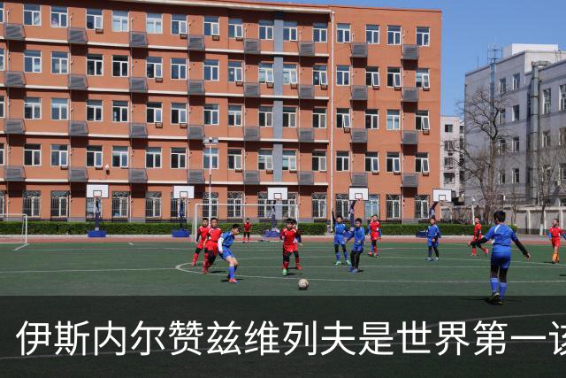 伊斯内尔赞兹维列夫是世界第一该有的样子，世界最好接发球员之一