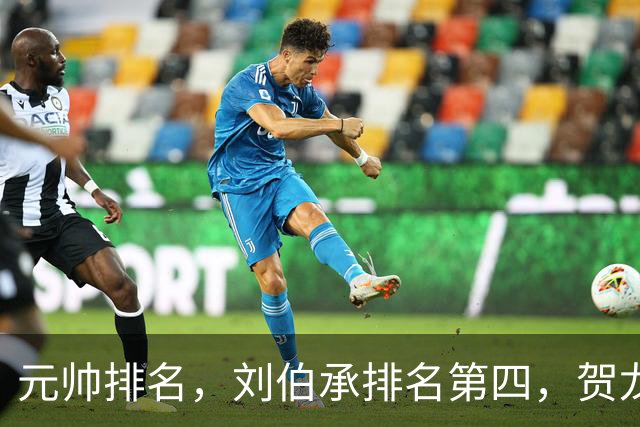 元帅排名，刘伯承排名第四，贺龙排名第五，为啥反而贺龙更受重用
