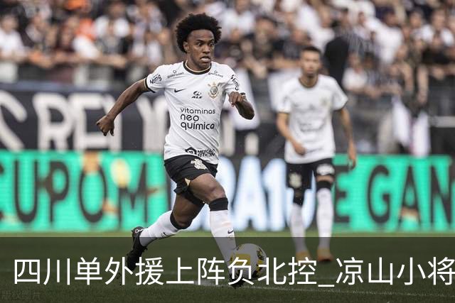 四川单外援上阵负北控 凉山小将骆金州再登场