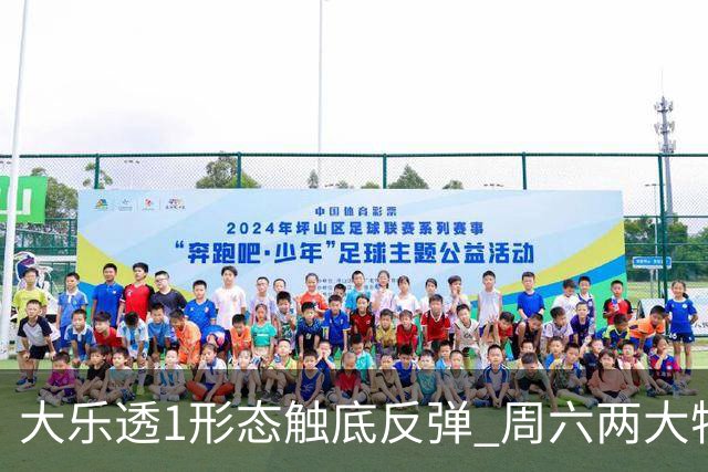 大乐透1形态触底反弹 周六两大特点需留意