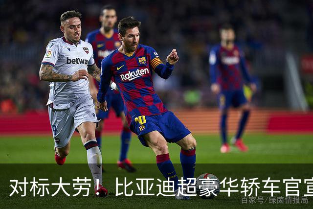 对标大劳！比亚迪超豪华轿车官宣
