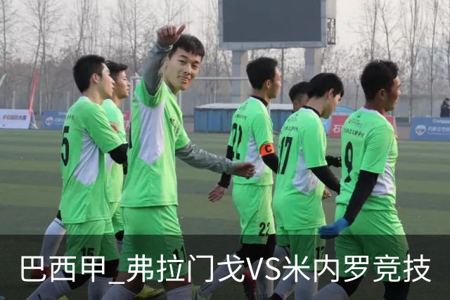 巴西甲 弗拉门戈VS米内罗竞技
