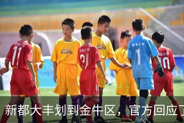 新都大丰划到金牛区，官方回应了
