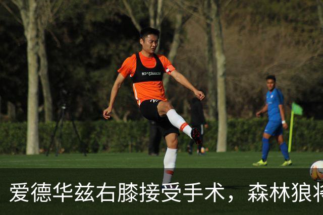 爱德华兹右膝接受手术，森林狼将一次性解决膝伤，预计休战2个月