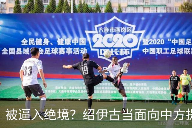 被逼入绝境？绍伊古当面向中方提了两件事，俄罗斯希望中国能成全