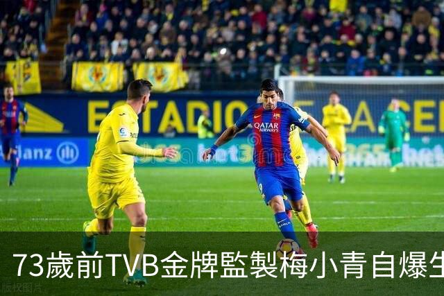 73歲前TVB金牌監製梅小青自爆生蛇 曾患膀胱癌險中風切除子宮